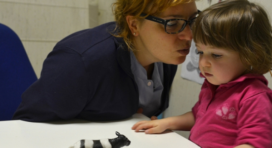 Dossier taalstoornis dysfasie (1) - Wat is het?