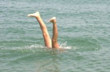 40 (slot). Narcissen in Andalusië