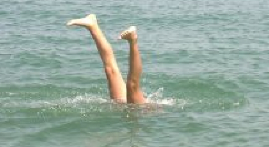 40 (slot). Narcissen in Andalusië