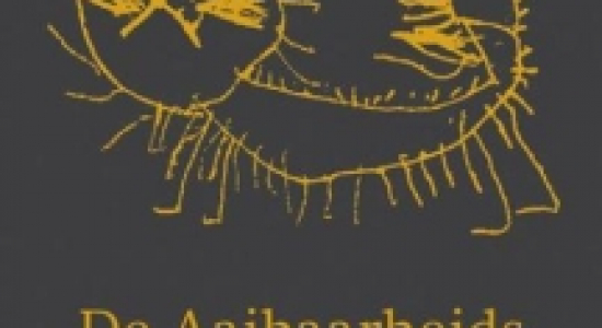 De aaibaarheidsfactor