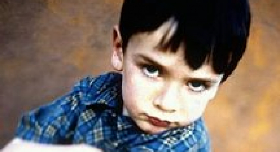 Ervaringen met het RED-dieet