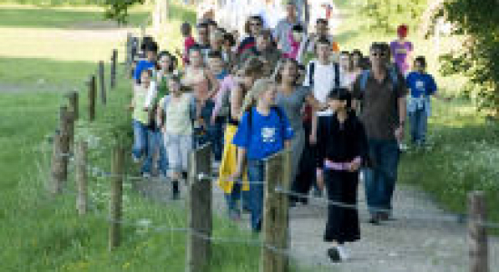 Hoe overleef je de avondvierdaagse?