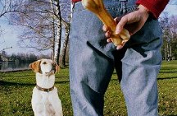 Waarom beloningssystemen in de opvoeding niet werken