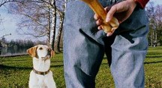 Waarom beloningssystemen in de opvoeding niet werken