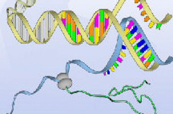 Is vroege opsporing van autisme wenselijk?