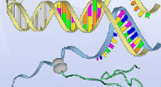 Is vroege opsporing van autisme wenselijk?