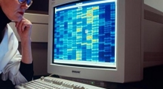 Is dik-zijn genetisch bepaald?