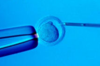 Identificatie van spermadonors en eiceldonors