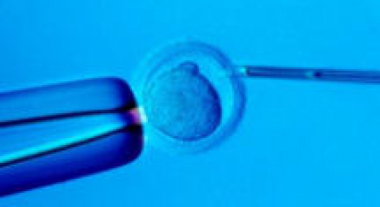 Identificatie van spermadonors en eiceldonors