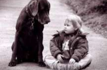 Kind en hond - Goede maatjes worden