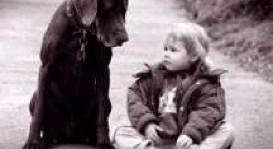 Kind en hond - Goede maatjes worden