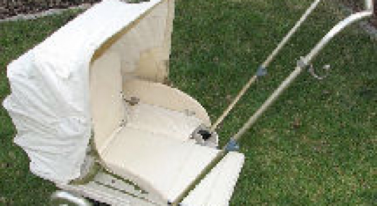 Is Wouter Bos de ideale vader?