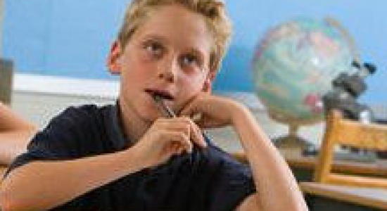 Nederlands onderwijs in het buitenland