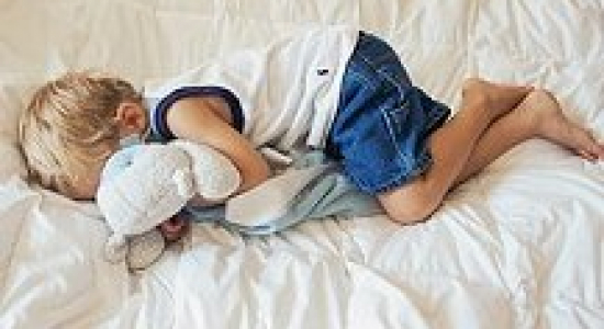 Wat heb je aan een knuffelbeest?