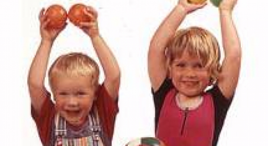 Nieuwe vormen van kinderopvang