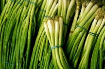 Lente-uitjes voor dreumesen, peuters en kleuters