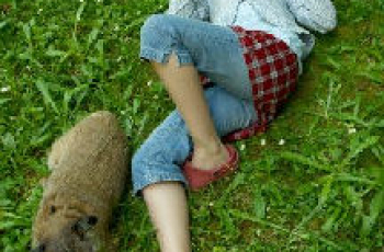 AVI maakt lezen tot een straf