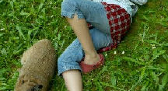 AVI maakt lezen tot een straf