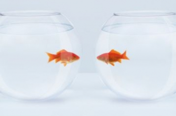 Taalstimulering werkt!