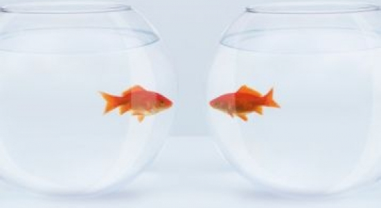 Taalstimulering werkt!