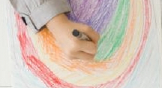 2013 - Wat gaat er (waarschijnlijk) veranderen?