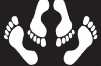 Seksuele voorlichting: Lovebuzz en Het Voorspel