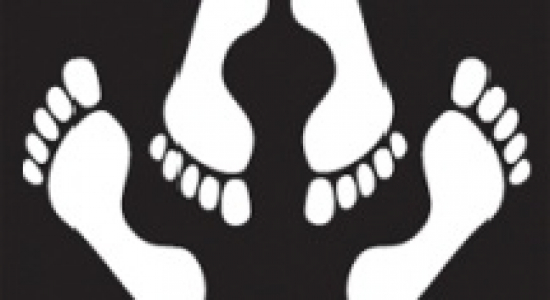 Seksuele voorlichting: Lovebuzz en Het Voorspel