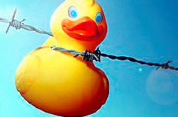 Wurgspelletjes 'hot' in België