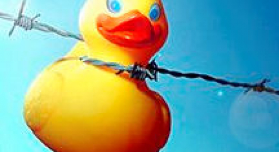 Wurgspelletjes 'hot' in België