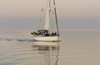 Nederlands onderwijs in het buitenland