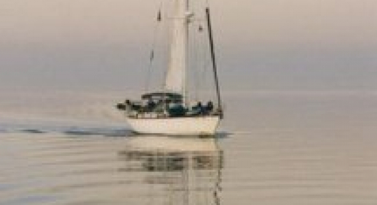 Nederlands onderwijs in het buitenland