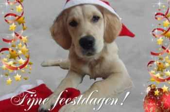 29. Kleine kerstkaartjes