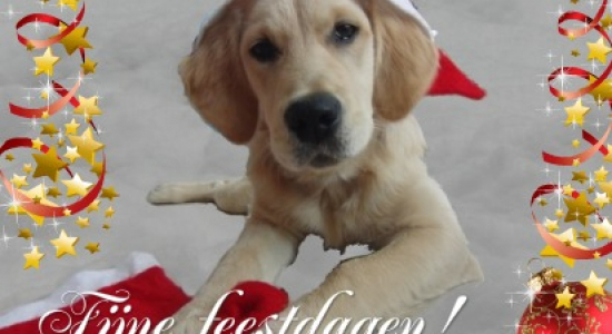 29. Kleine kerstkaartjes