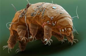 Dagje uit | Micropia, de microben-dierentuin