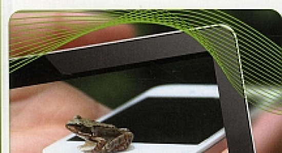 Groen opvoeden | Met je smartphone het bos in!