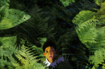 De Boeken van het Begin (11+)