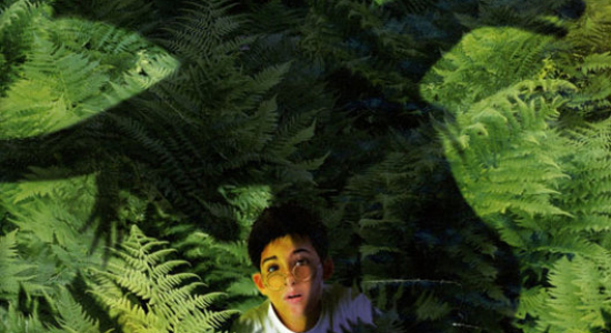 De Boeken van het Begin (11+)