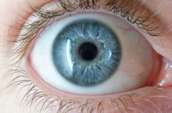 De risico-regelreflex