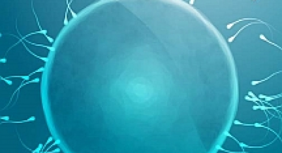 Vrijen om een kindje te maken