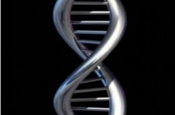 Kinderwens |  Nieuwe website over erfelijke ziektes