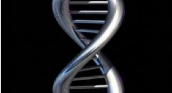 Kinderwens |  Nieuwe website over erfelijke ziektes