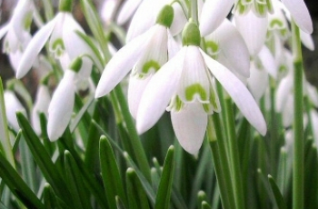 Voorjaarsvakantie: leuke dingen doen