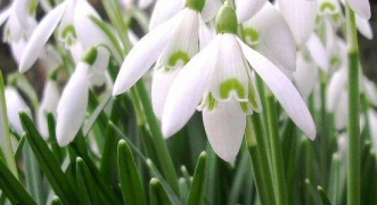 Voorjaarsvakantie: leuke dingen doen