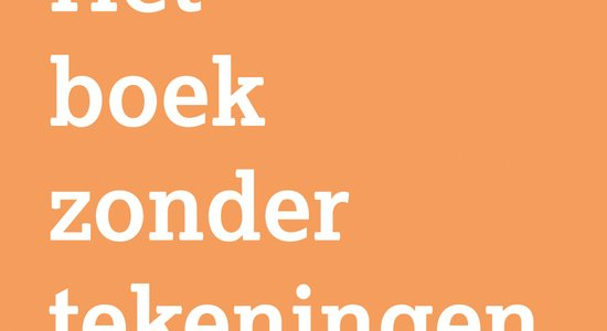 Het boek zonder tekeningen (4+)