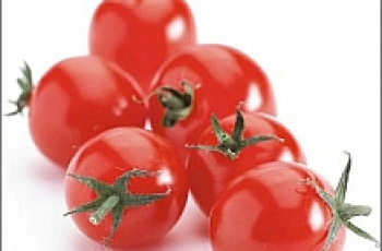 Veiligheid | Snoeptomaatjes snijden