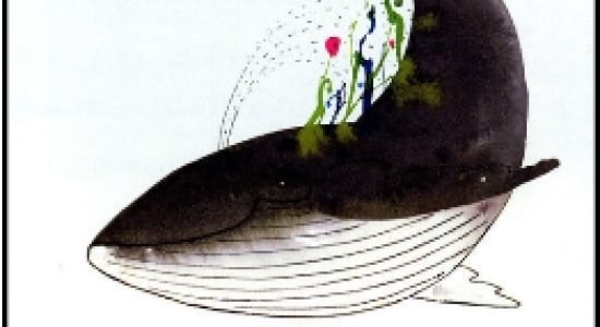 De tuin van de walvis (8+)