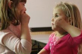 Feiten over gebarentaal