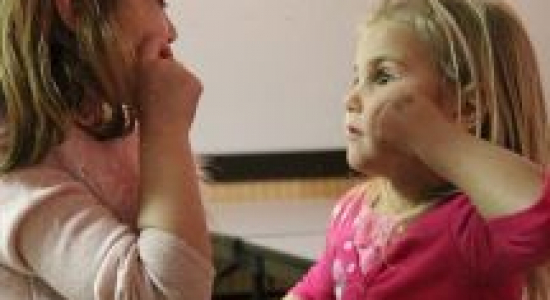 Feiten over gebarentaal