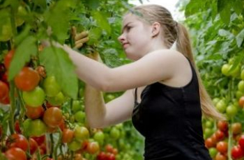 Alles over vakantiewerk