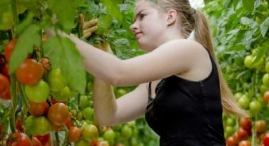 Vakantiewerk | Hoe vind je een baantje?